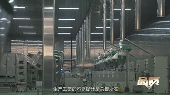 素之美味，海納百川 生物科技如何重塑未來飲食品質