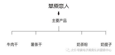 聚力農產品上行，太仆寺旗電商銷售品牌策劃服務全旗 經營電子商務